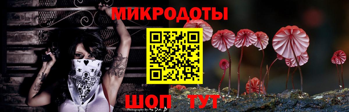 Лесной  Галлюциногенные грибы Magic Shrooms  Псилоцибиновые грибы мухоморы  Вход с VPN 